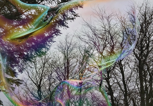 Screenshot 20241007-152526 Gallery